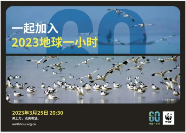 地球一小時|將軍陶瓷集團邀您共同為環保助力